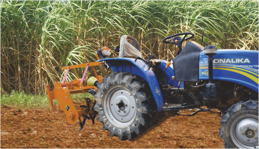 Best for earthing up operation for sugarcane field