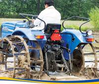 Wetland Cultivation