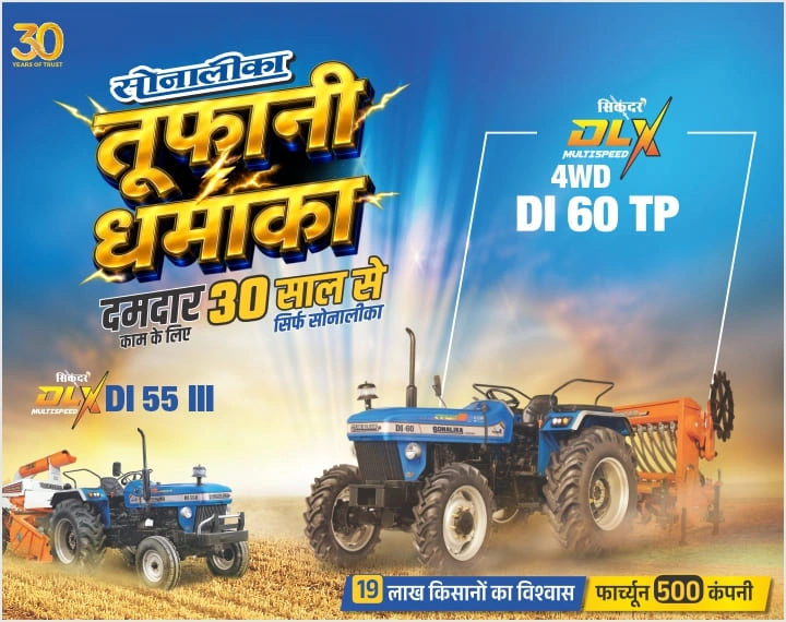 Sonalika No 1 Plants