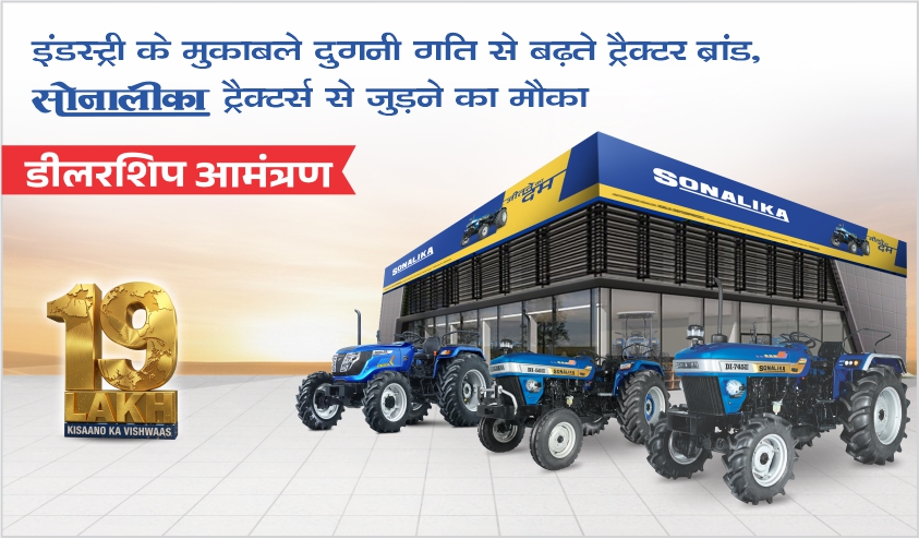 Sonalika No 1 Plants